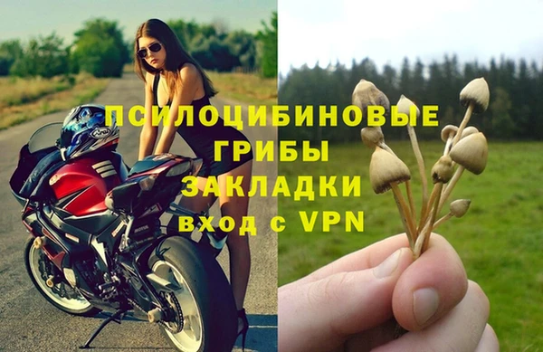 дживик Сафоново