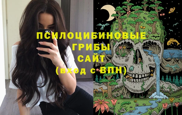 дживик Сафоново