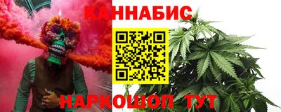 ECSTASY Гай