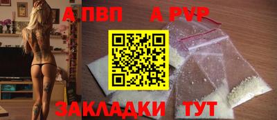 ECSTASY Гай