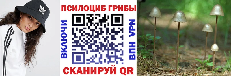 наркошоп  Златоуст  Галлюциногенные грибы GOLDEN TEACHER 