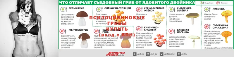 даркнет сайт  Златоуст  Псилоцибиновые грибы Psilocybine cubensis 