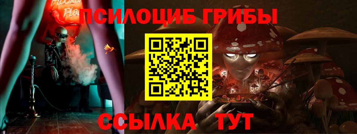 Галлюциногенные грибы MAGIC MUSHROOMS Златоуст